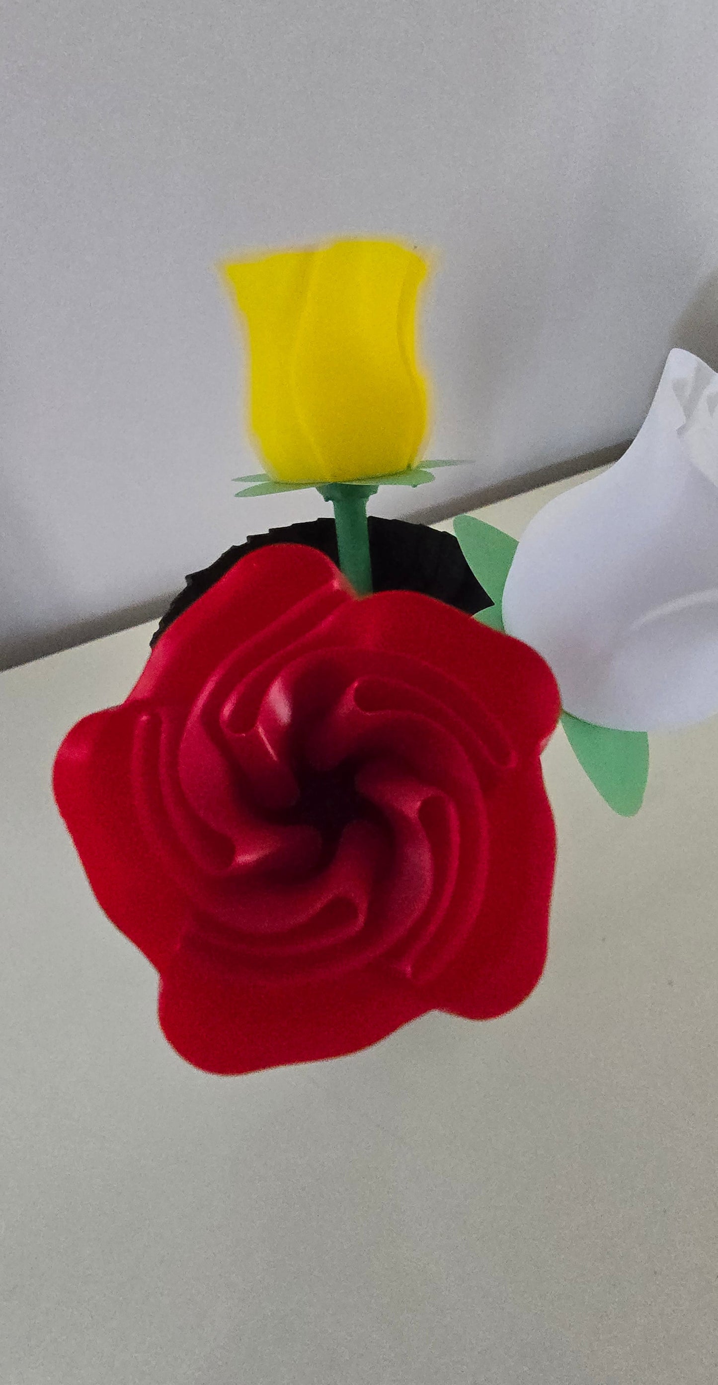 Rose Eterne: Un Tocco di Design e Colore per Ogni Occasione