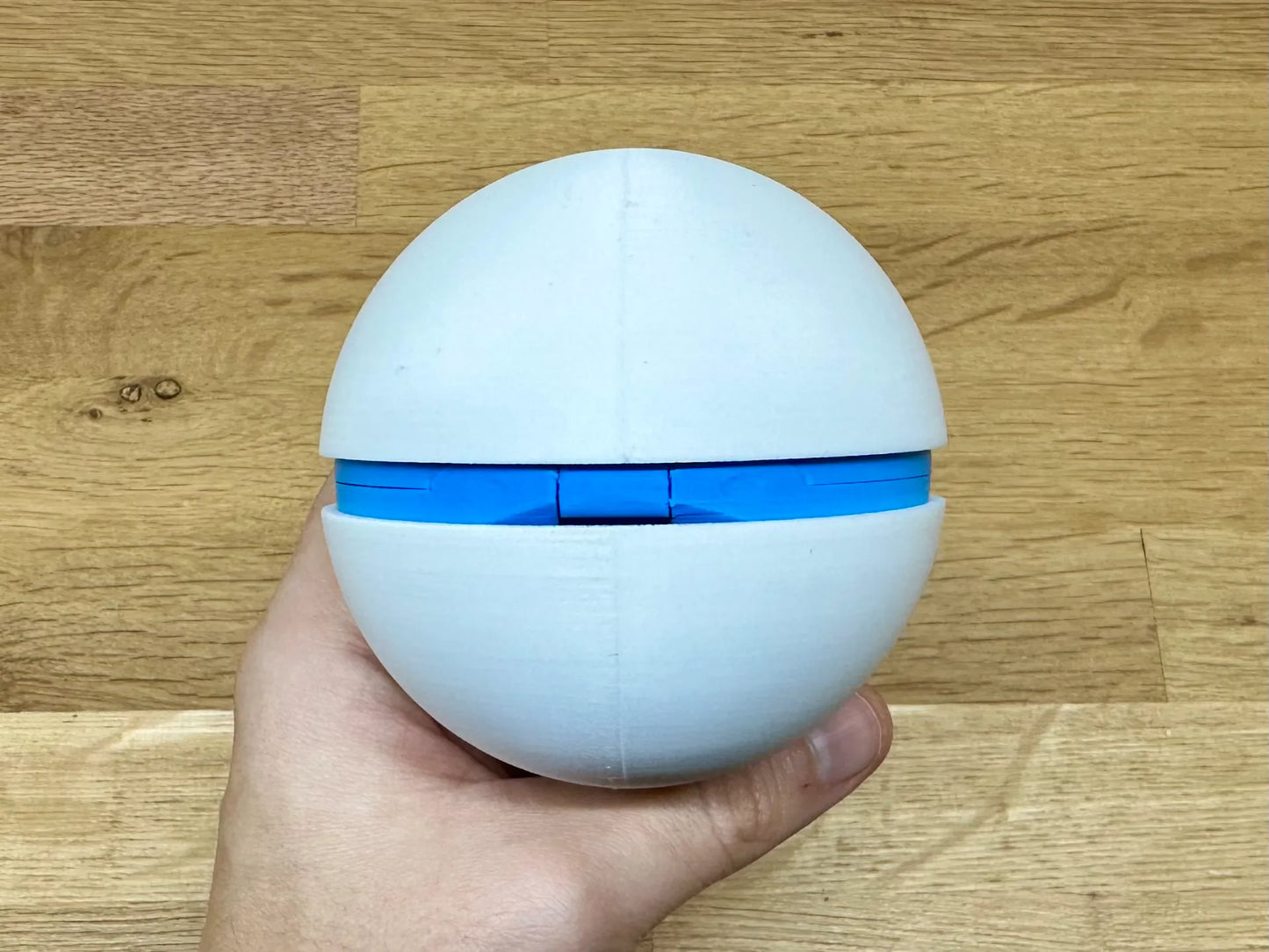 Squadra Palla Aqua - Pokémon - Poké Ball Funzionale