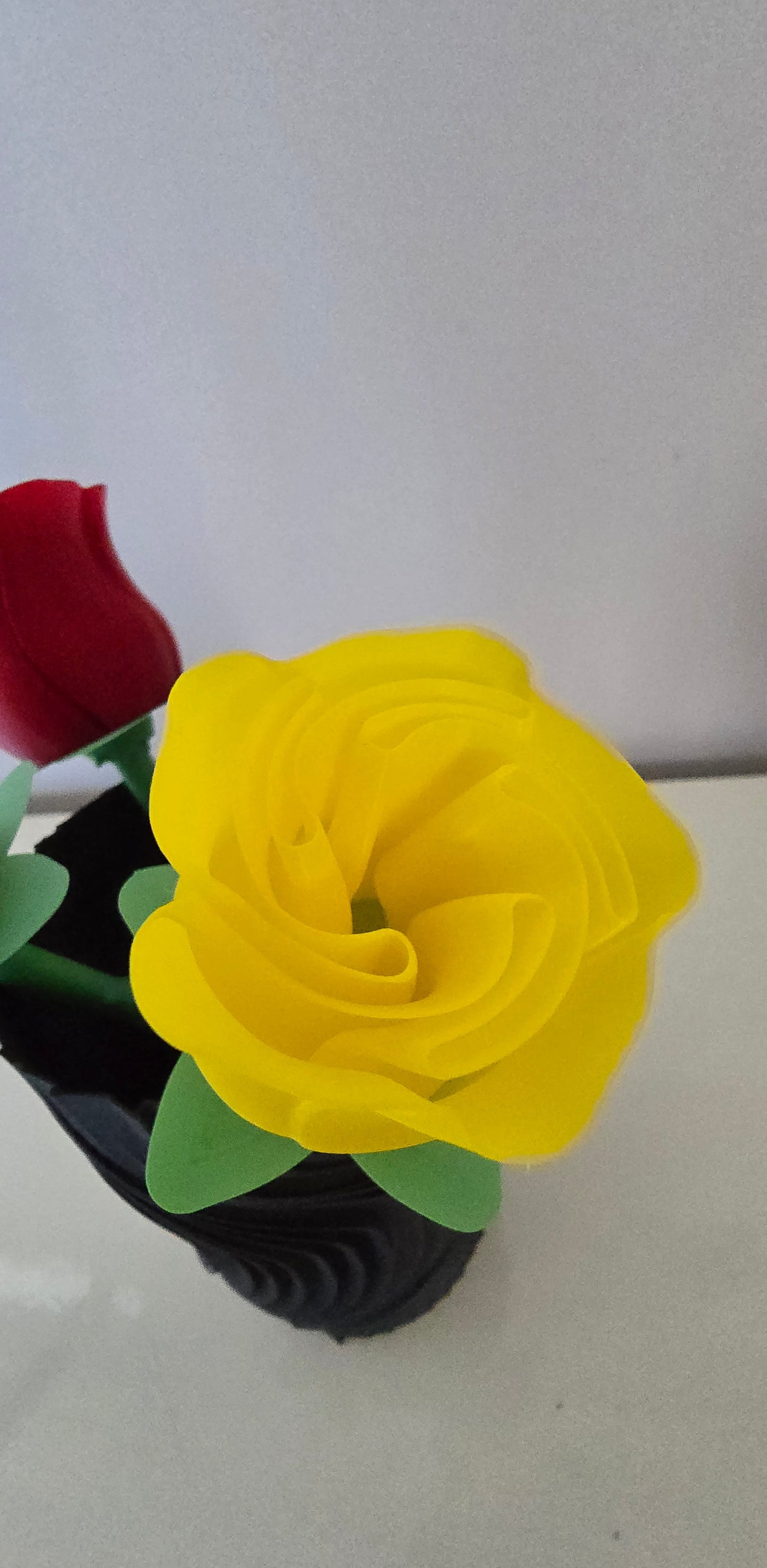 Rose Eterne: Un Tocco di Design e Colore per Ogni Occasione