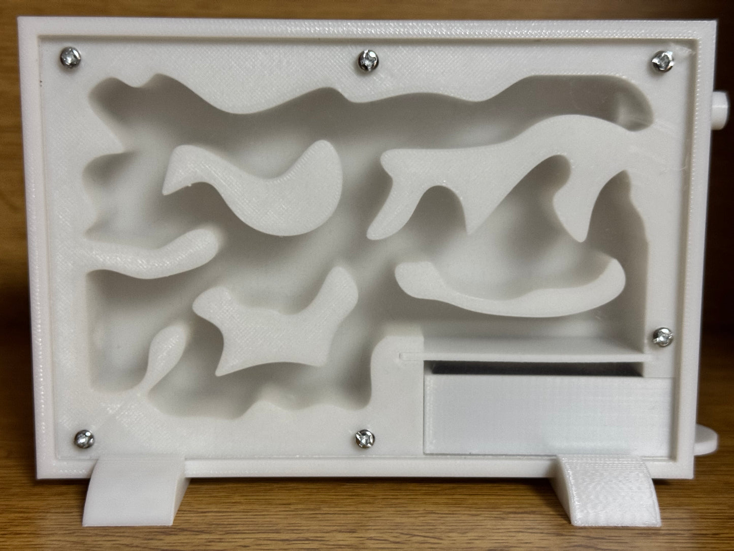 Formicaio 3D con Sistema di Idratazione – 10x15 cm